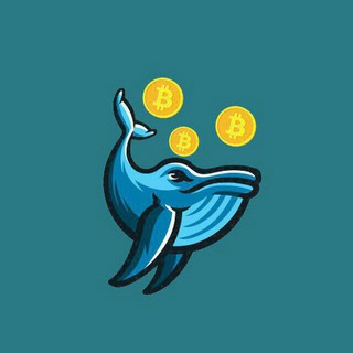 Crypto Whales 🐋