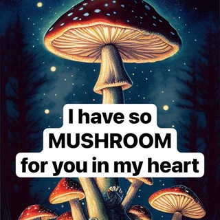 Die mit dem Pilz spricht 🍄