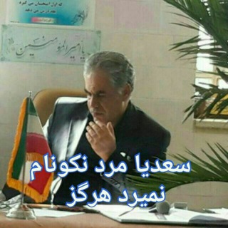 babak mohammadi