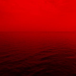 레드오션 무한홍보방 자유홍보방 RED OCEAN TELEGRAM MARKETING GROUP 텔레그램 자유홍보 무한홍보