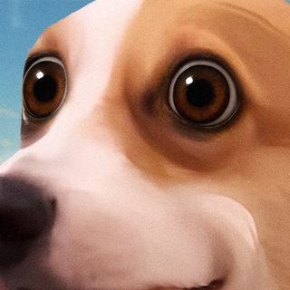 SUNDOG MEMES