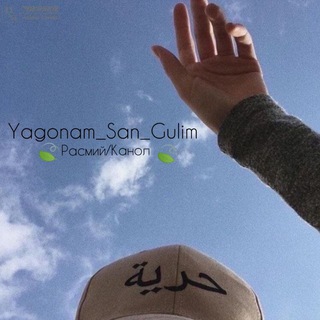 ❣️Yαgσηαм_Sαη_Gυℓιм |Расмий Сахифа ⋮⁽❣️