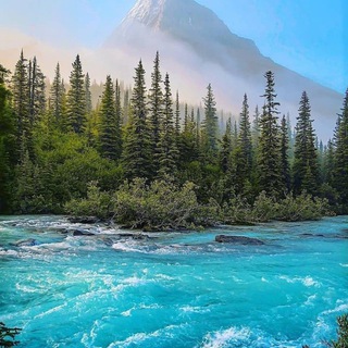 Rakhimjon's photo-blog