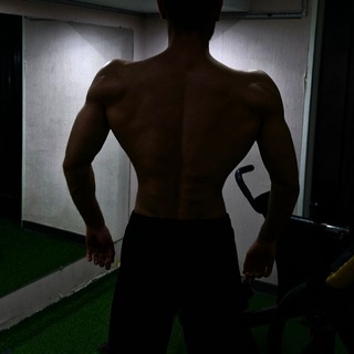 Aref