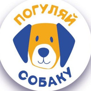 Волонтерское движение "Погуляй собаку"