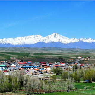 گروه خبر کورائیم