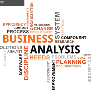Business Systems Analysts Worldwide
