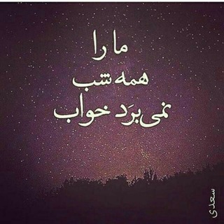Rap tasnim