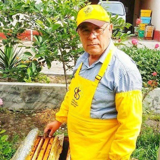 Bolarichilik 🐝