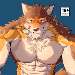🐺 ... Victory's — Contact.