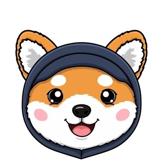 Asteroid Shiba | SPACEX Portal