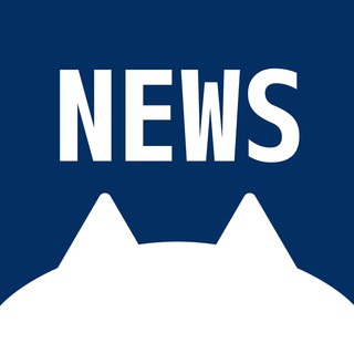 8cat News 新聞