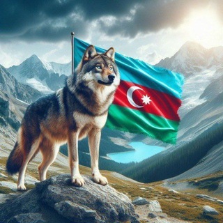 WOLF 085