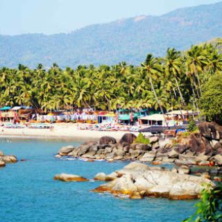 ЧАТ | Южный Goa