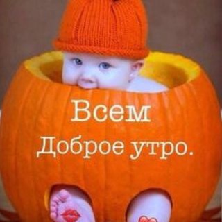 Георгий Путешественник
