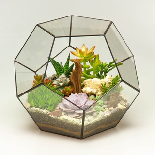 Florarium Flo