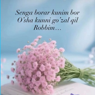 Sabina/99.