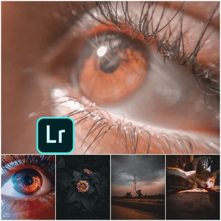 لمسة بصرية/photography