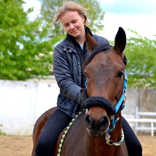 Пони тоже кони🐴