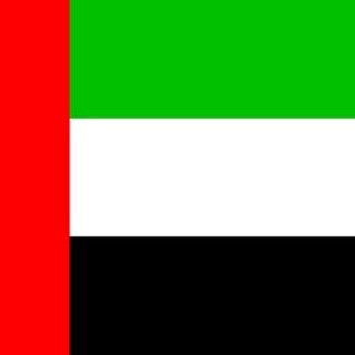 🇦🇪 Русские в ОАЭ | Выезд, Релокация, Обустройство