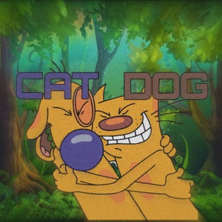 CAT & DOG