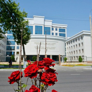 UzSWLU murojaat