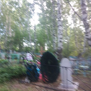 кладбище алкаголиков