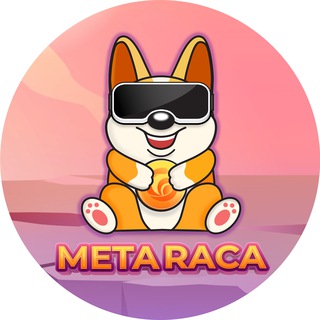 Metaraca USA 🇺🇸