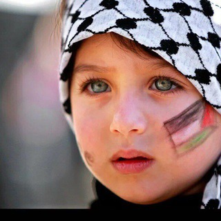 Palestine Info Channel 🇵🇸🕊️