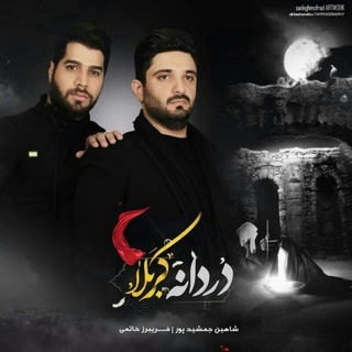 Shahin Jamshidpour | شاهین جمشیدپور