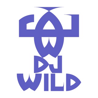 Сергей DjWild