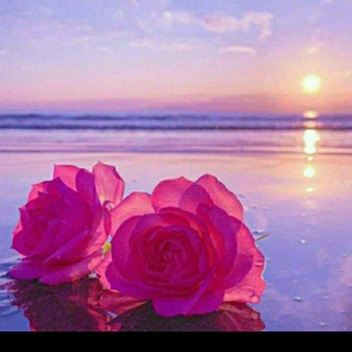 💯💖💝 ИШҚИМ СОҲИЛИ 💯💖💝