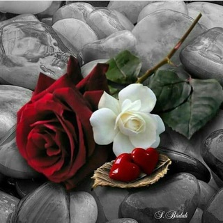♪♫•*¨*•.¸¸❤️ Elnaz❤️Tannaz ❤️¸¸.•*¨*•♫♪