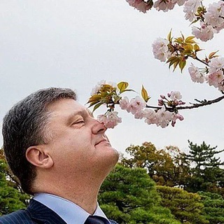 Зульфугар