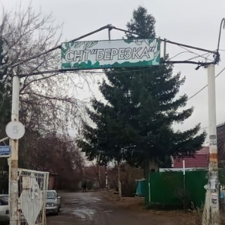 Берёзка👇