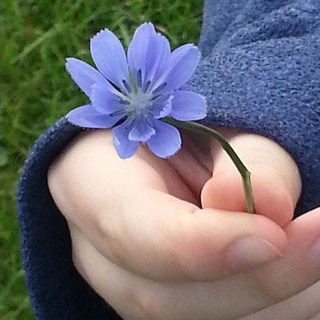 𝙼🦋💙
