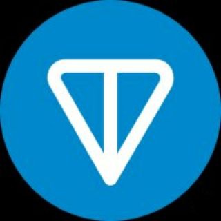 Toncoin Coin
