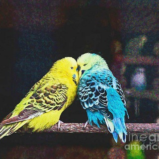 Dating Group, India
