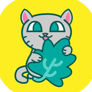CatNIP官方华人社区