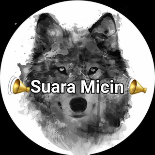 Suara Micin📣
