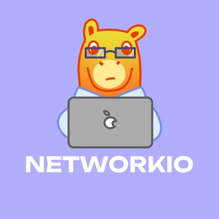 Networkio | Карьерные услуги Networkio
