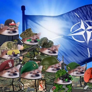 Запропонувати цитату