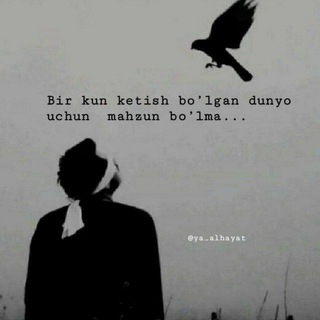 Nodir satirlar