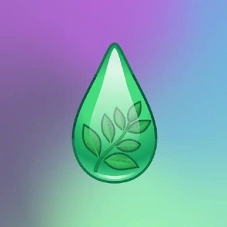🏷 sourmemes.eco