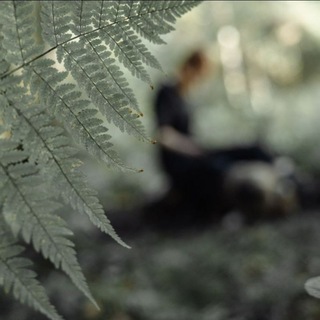 Мята 🍃↑
