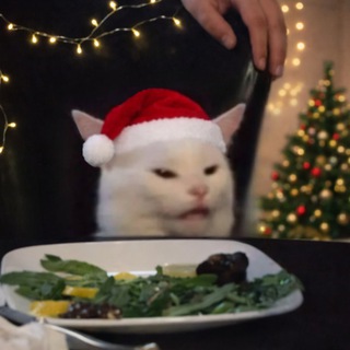 RegaLeakShit🎄