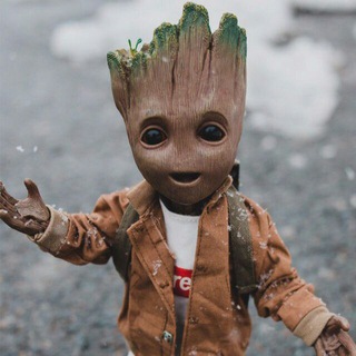 Murodbot