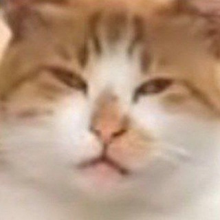 VldmrMK
