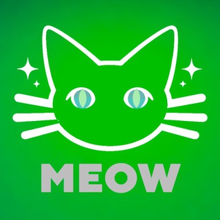 Meow 🐈