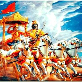 Narayani sena 🚩